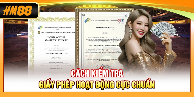 Cách kiểm tra giấy phép hoạt động cực chuẩn