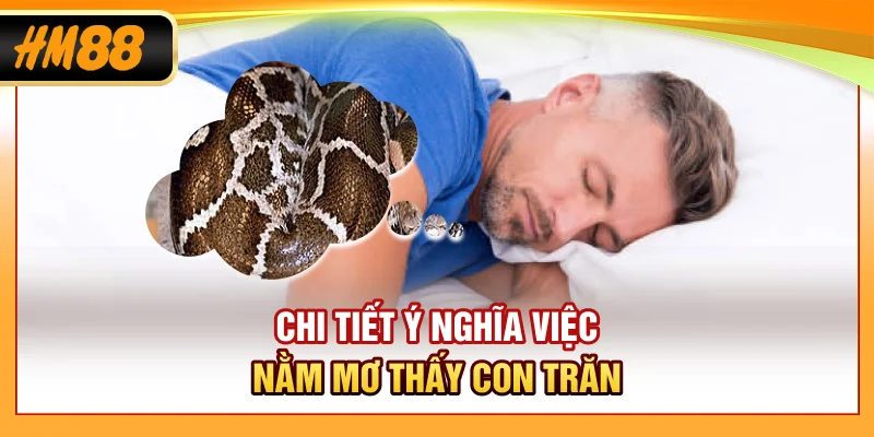 Chi tiết ý nghĩa việc nằm mơ thấy con trăn