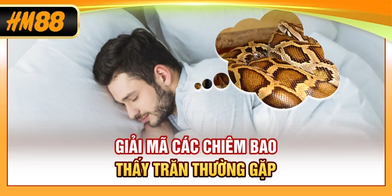 Giải mã các chiêm bao thấy trăn thường gặp