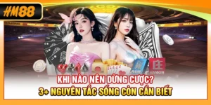 Khi Nào Nên Dừng Cược? 3+ Nguyên Tắc Sống Còn Cần Biết