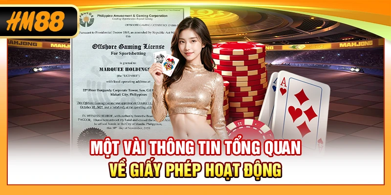 Một vài thông tin tổng quan về giấy phép hoạt động