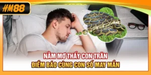 Nằm Mơ Thấy Con Trăn - Điềm Báo Cùng Con Số May Mắn