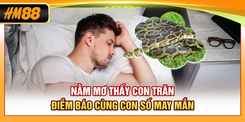 Nằm Mơ Thấy Con Trăn - Điềm Báo Cùng Con Số May Mắn