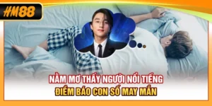 Nằm Mơ Thấy Người Nổi Tiếng - Điềm Báo, Con Số May Mắn